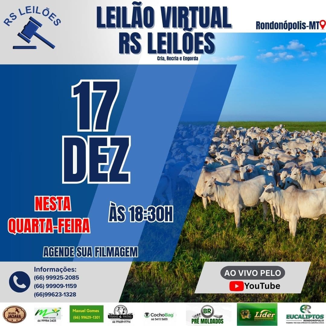LEILÃO VIRTUAL RS LEILÕES - 17/12