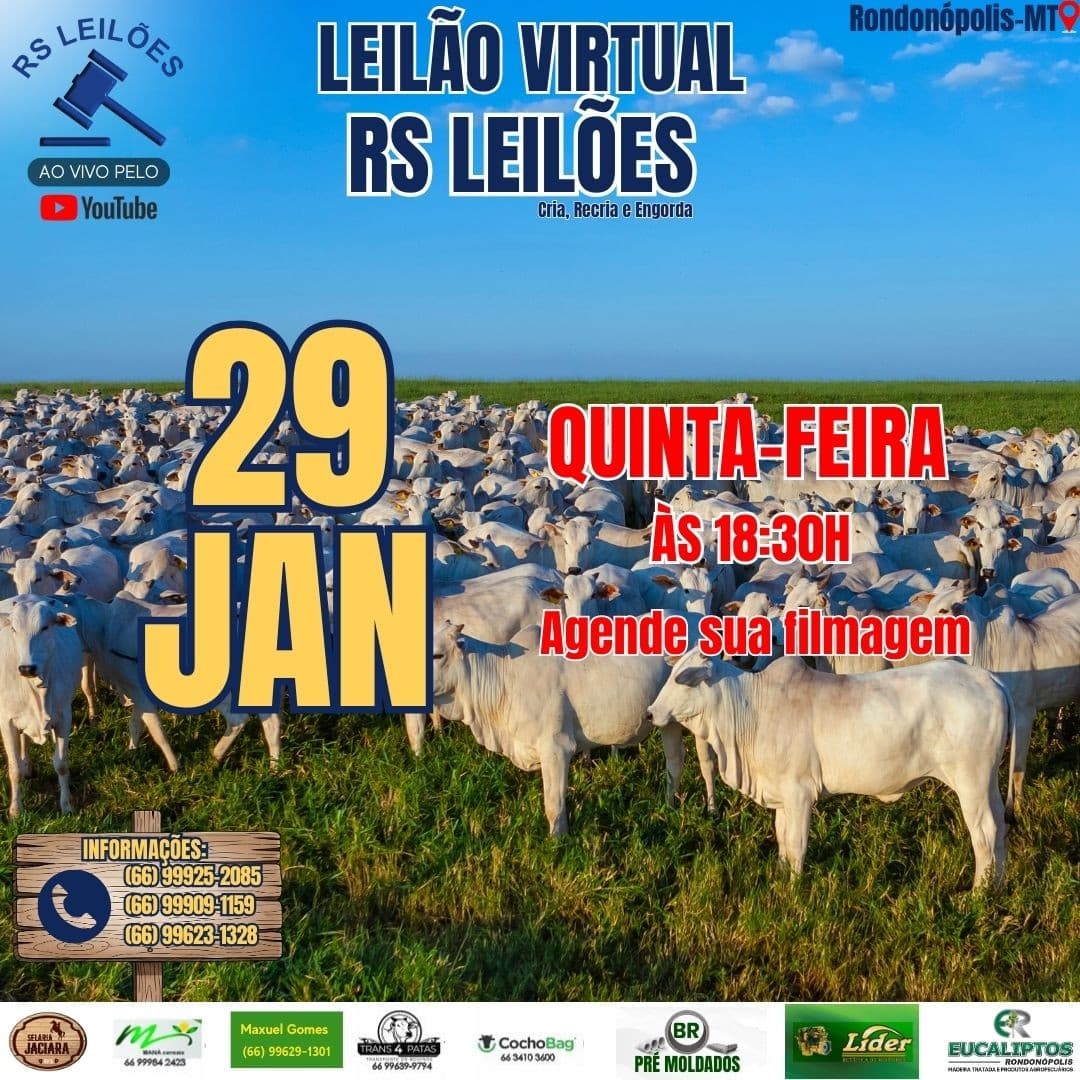 LEILÃO VIRTUAL RS LEILÕES - 29/01