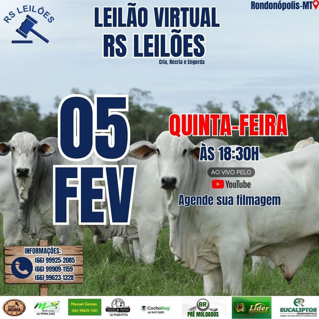 LEILÃO VIRTUAL RS LEILÕES - 05/02/2026.