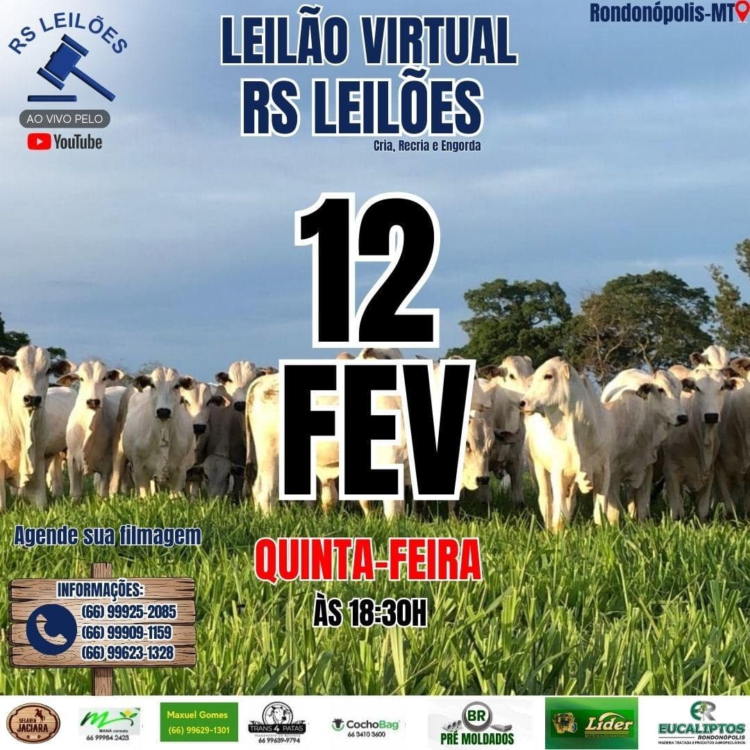 LEILÃO VIRTUAL RS LEILÕES - 12/02/2026