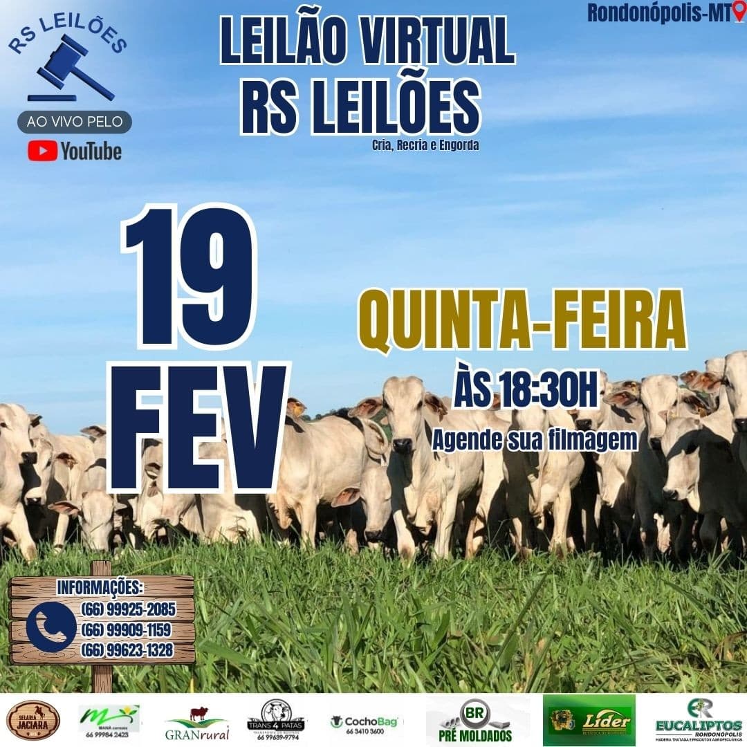 LEILÃO VIRTUAL RS LEILÕES - 19/02/2026