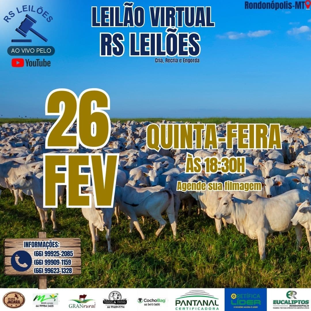 LEILÃO VIRTUAL RS LEILÕES - 26//02