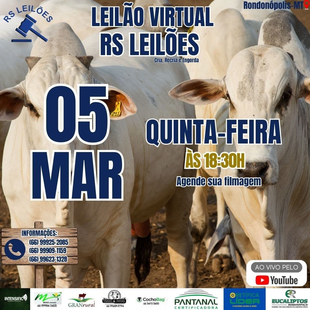 LEILÃO VIRTUAL RS LEILÕES - 05/03/2026