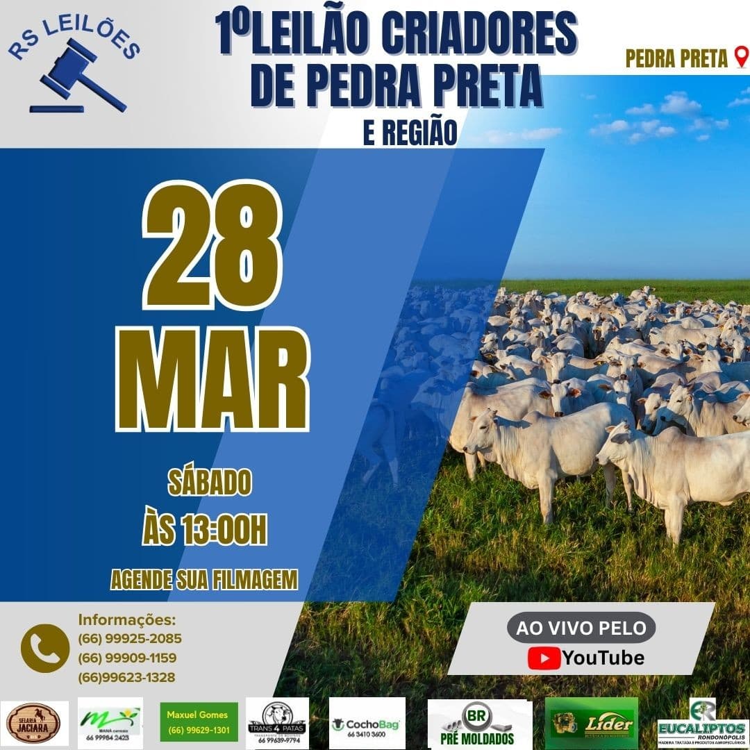 1º LEILÃO CRIADORES DE PEDRA PRETA E REGIÃO