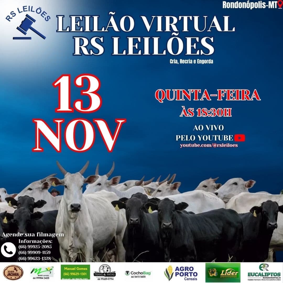LEILÃO VIRTUAL RS LEILÕES
