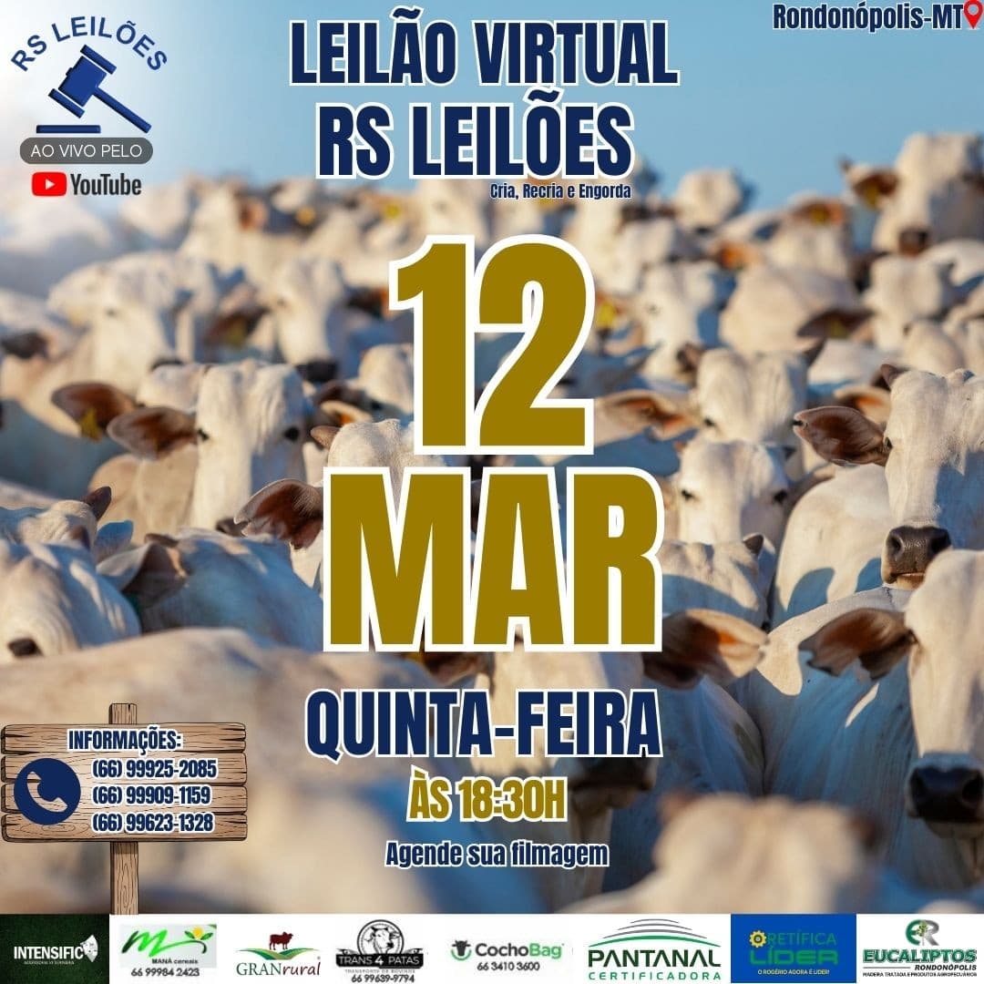 LEILÃO VIRTUAL RS LEILÕES - 12/03/2026