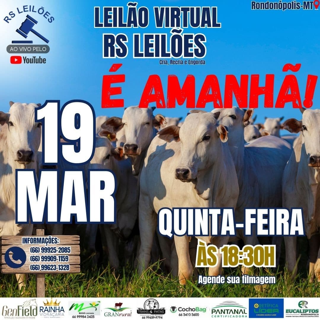 LEILÃO VIRTUAL RS LEILÕES - 19/03/2026