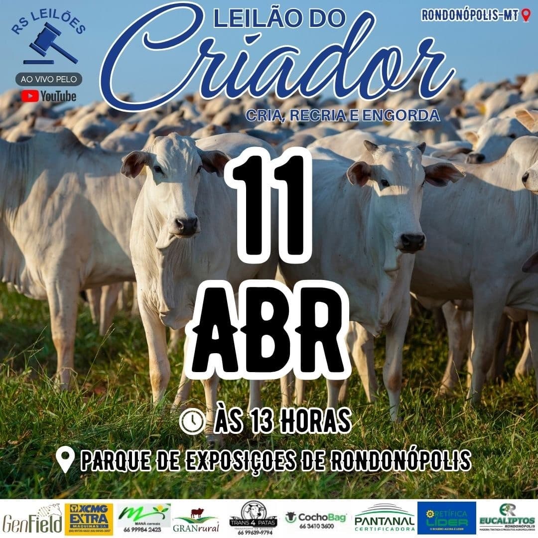 LEILÃO DO CRIADOR - RONDONÓPOLIS MT