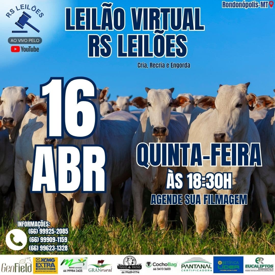 LEILÃO VIRTUAL RS LEILÕES - 16/04/2026
