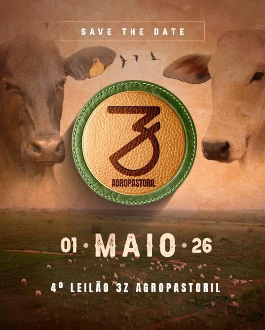 4º LEILÃO 3Z AGROPASTORIL