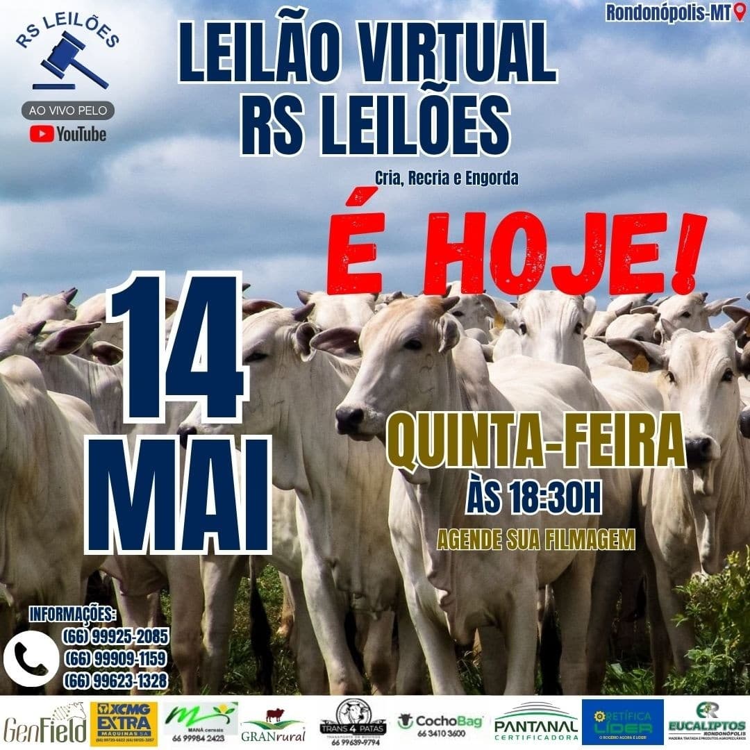 LEILÃO VIRTUAL RS LEILÕES - 14/05/2026