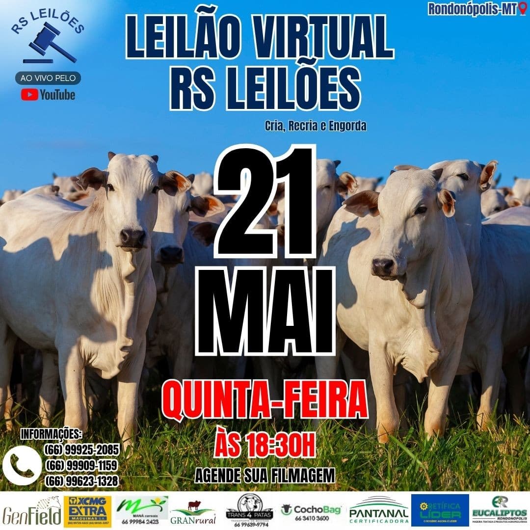 LEILÃO VIRTUAL RS LEILÕES - 21/05/2026