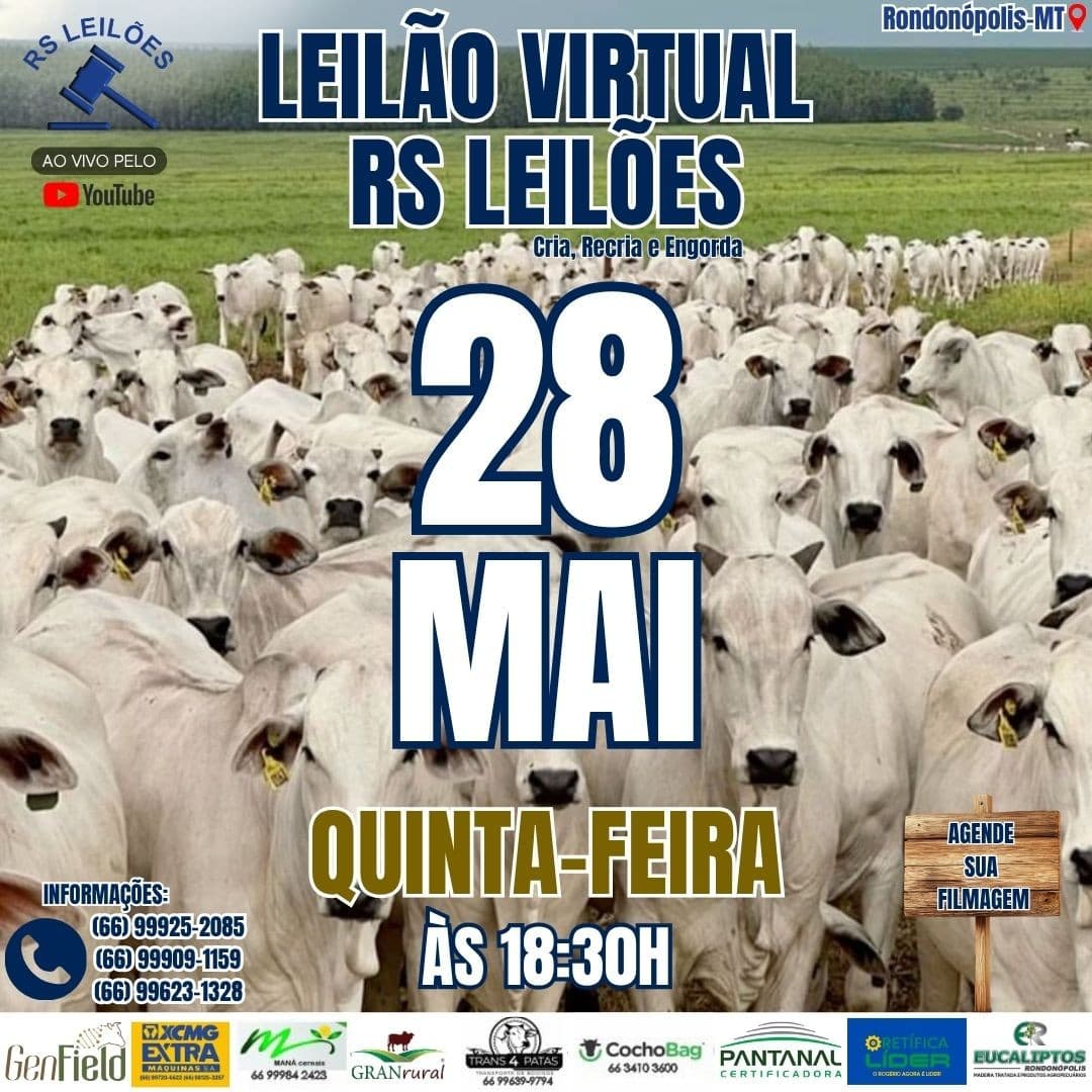 LEILÃO VIRTUAL RS LEILÕES - 28/05/2026