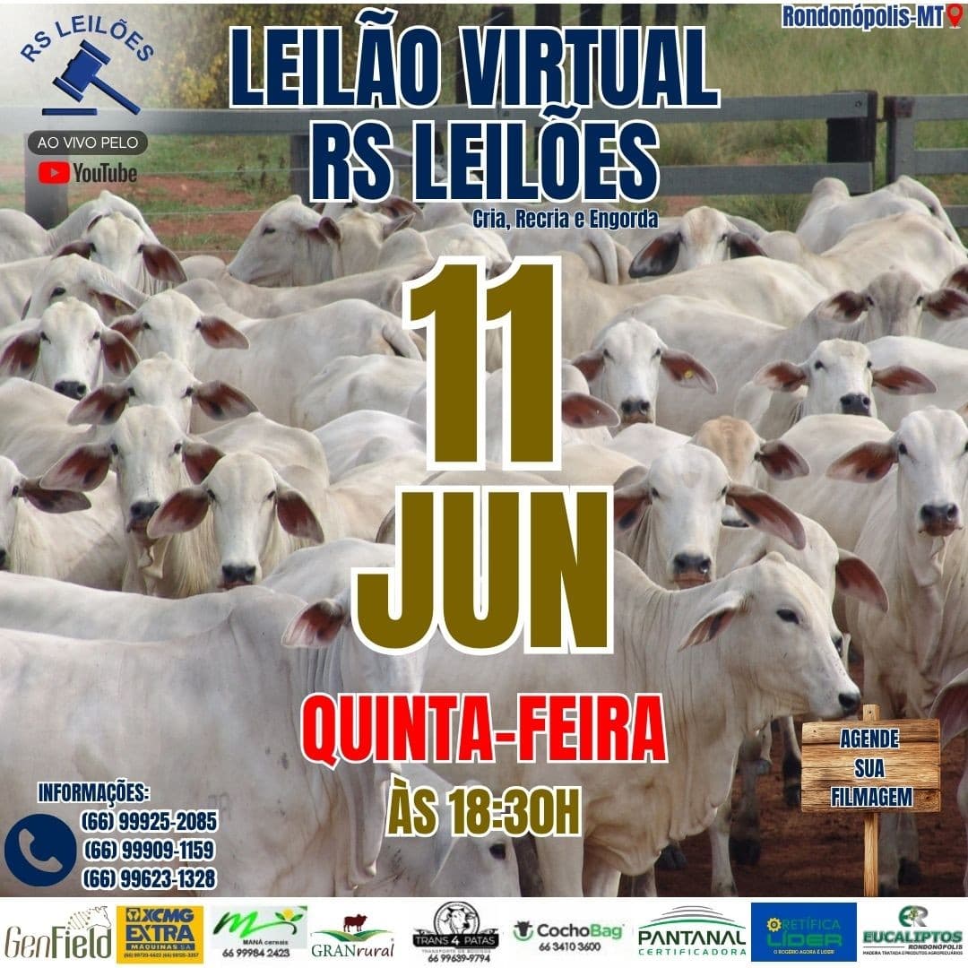 LEILÃO VIRTUAL RS LEILÕES