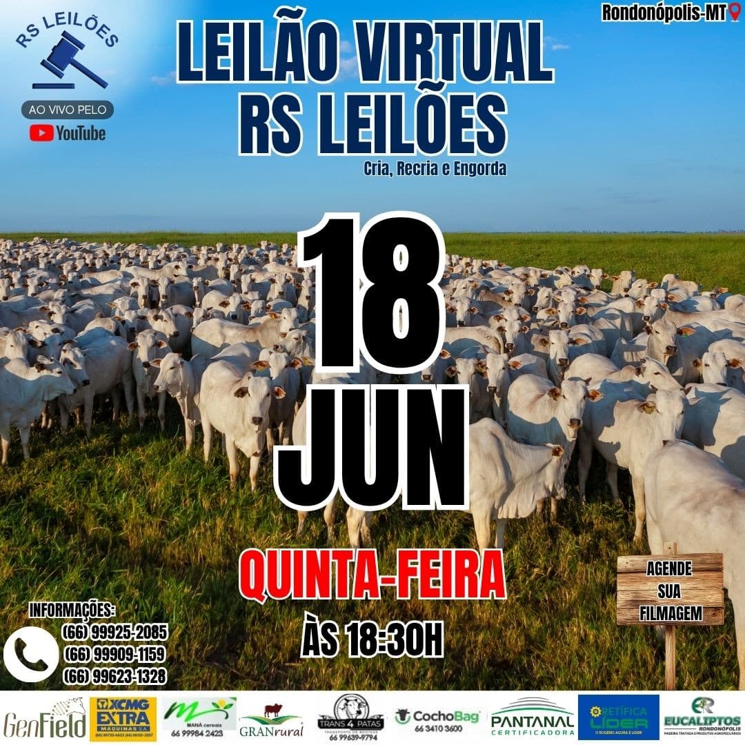 LEILÃO VIRTUAL RS LEILÕES - 18/06/2026.
