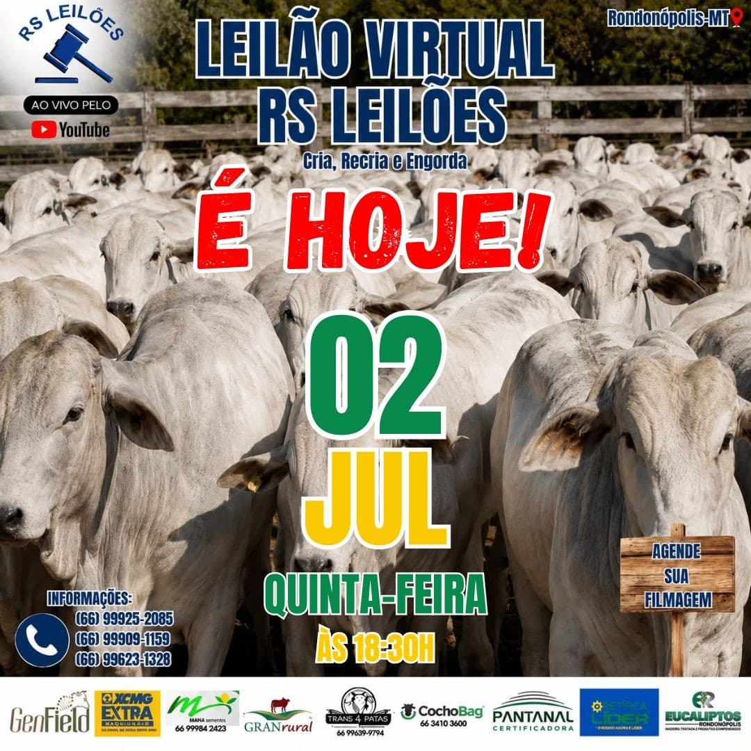 LEILÃO VIRTUAL RS LEILÕES - 02/07/2026