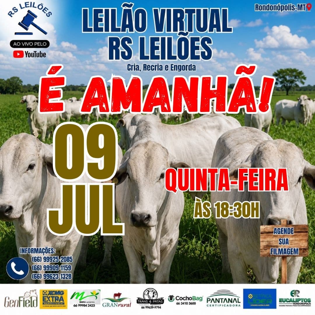 LEILÃO VIRTUAL RS LEILÕES - 09/07/2026
