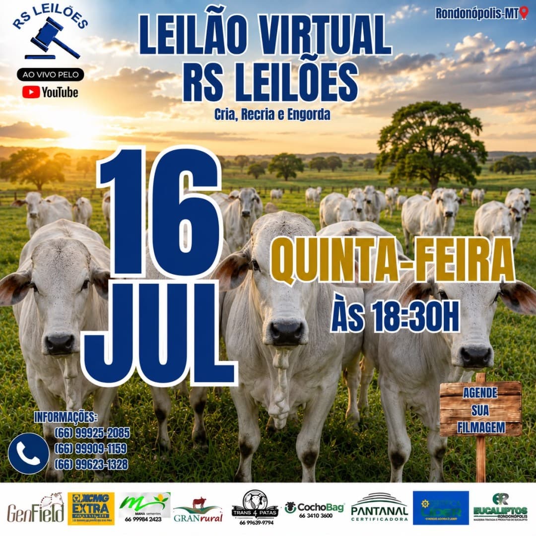 LEILÃO VIRTUAL RS LEILÕES - 16/07/2026