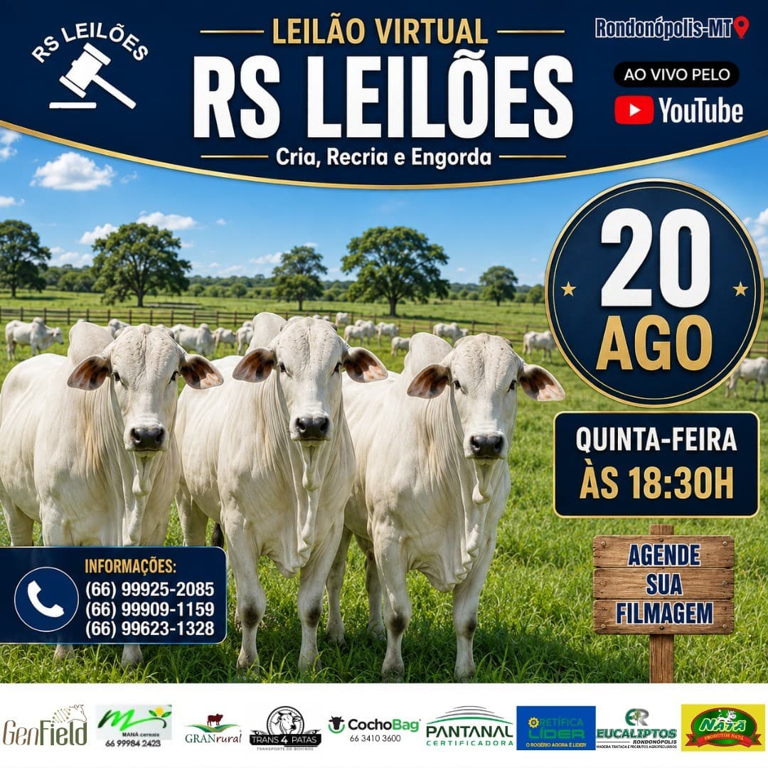 LEILÃO VIRTUAL RS LEILÕES - 20/08/2026