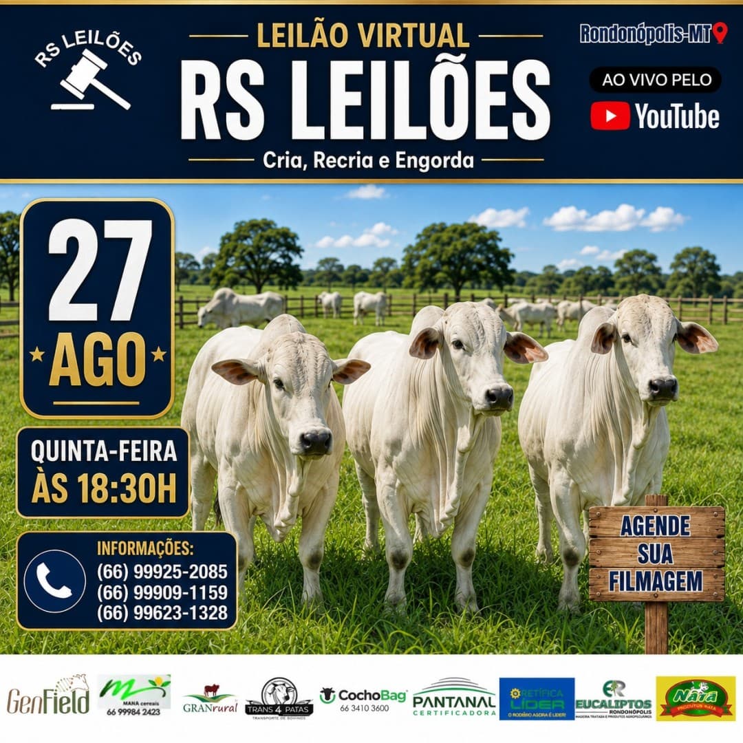 LEILÃO VIRTUAL RS LEILÕES - 27/08/2026