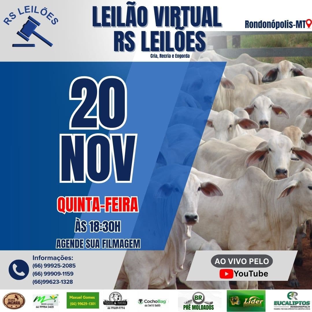 LEILÃO VIRTUAL RS LEILÕES - 20/11