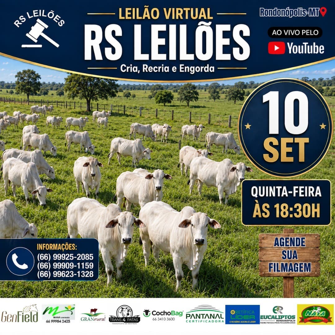LEILÃO VIRTUAL RS LEILÕES - 10/09/2026