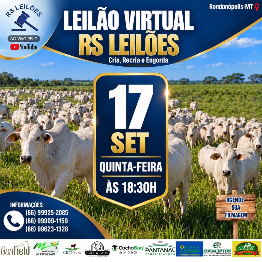 LEILÃO VIRTUAL RS LEILÕES - 17/09/2026