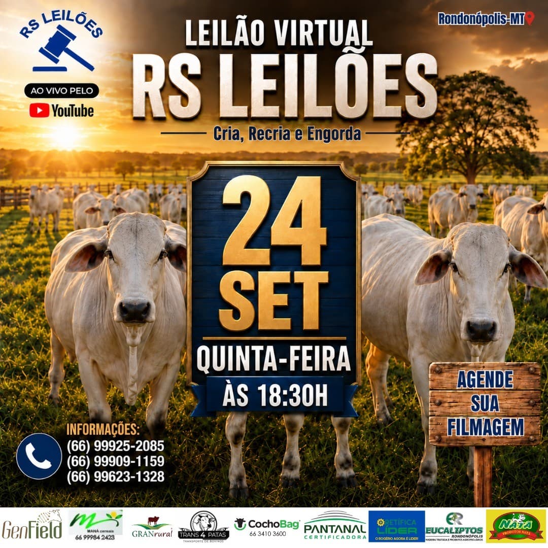 LEILÃO VIRTUAL RS LEILÕES - 24/09/2026