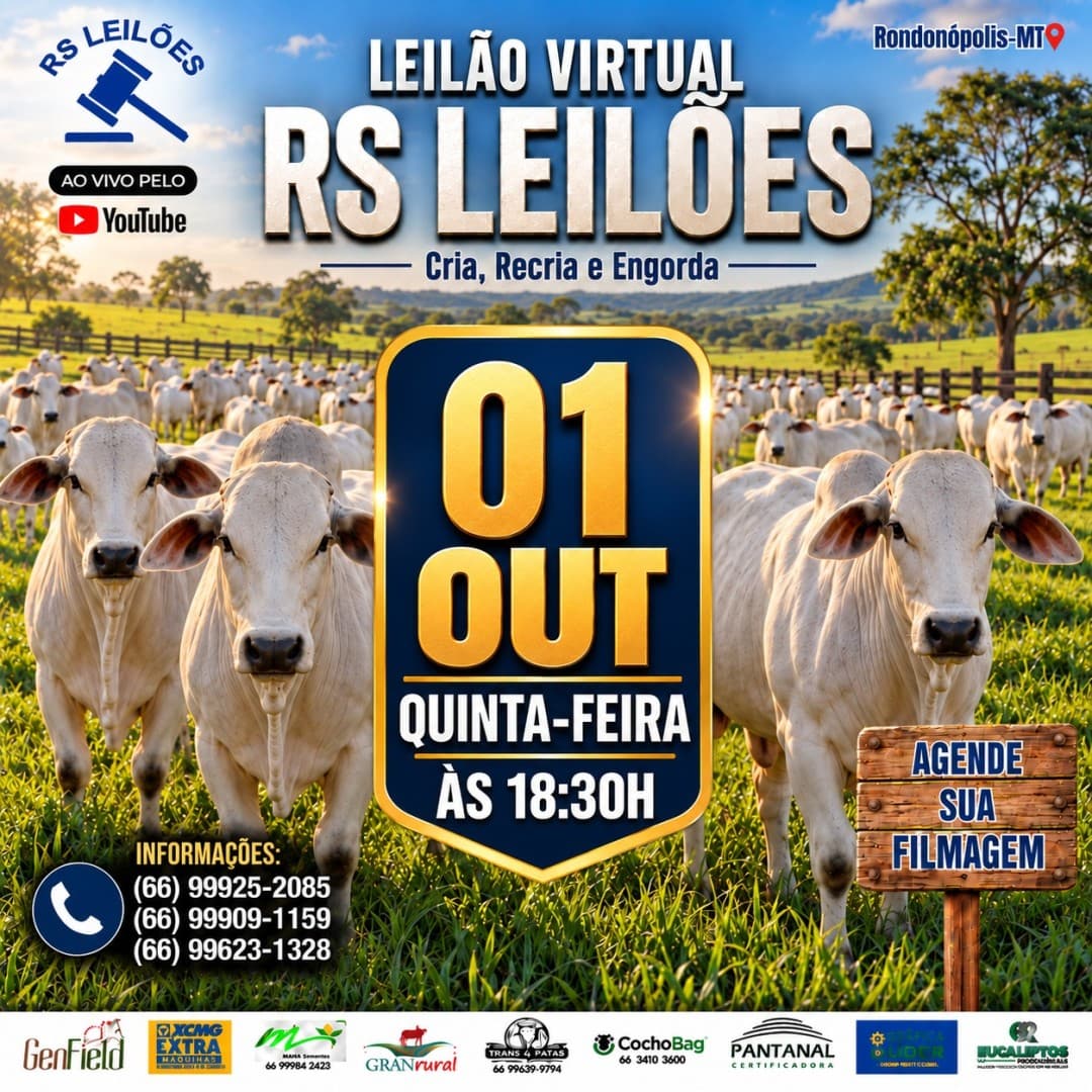 LEILÃO VIRTUAL RS LEILÕES - 01/10/2026