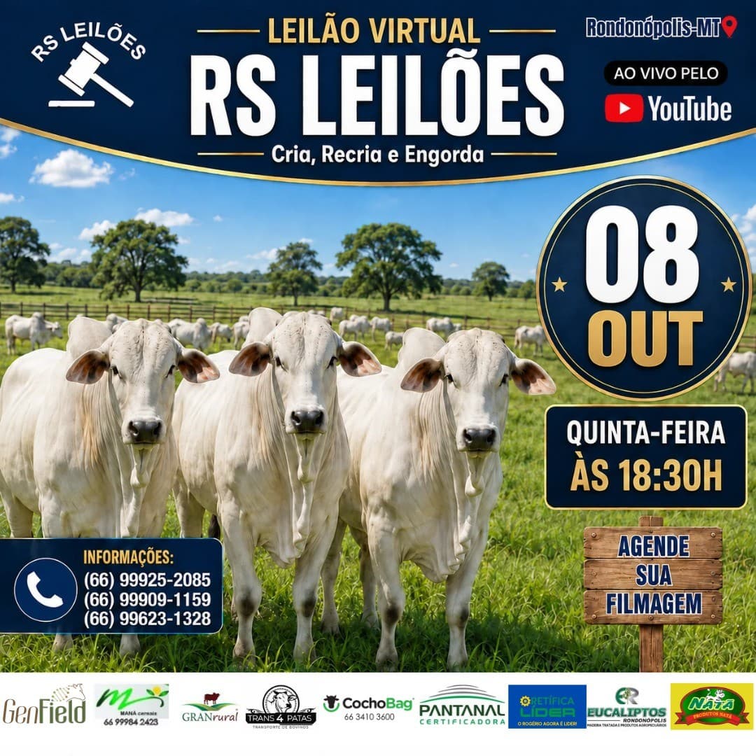 LEILÃO VIRTUAL RS LEILÕES - 08/10/2026