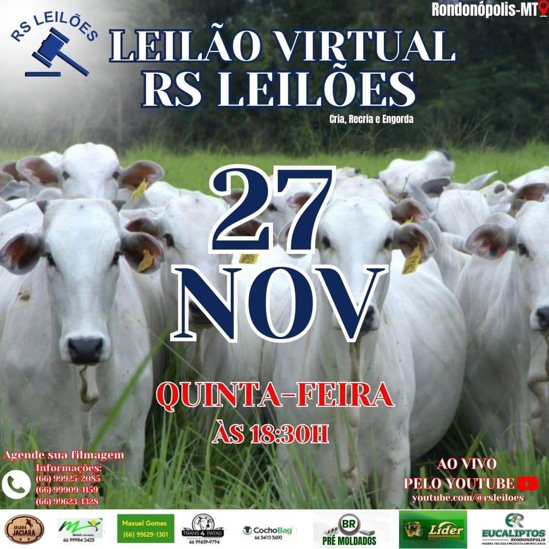 LEILÃO VIRTUAL RS LEILÕES - 27/11