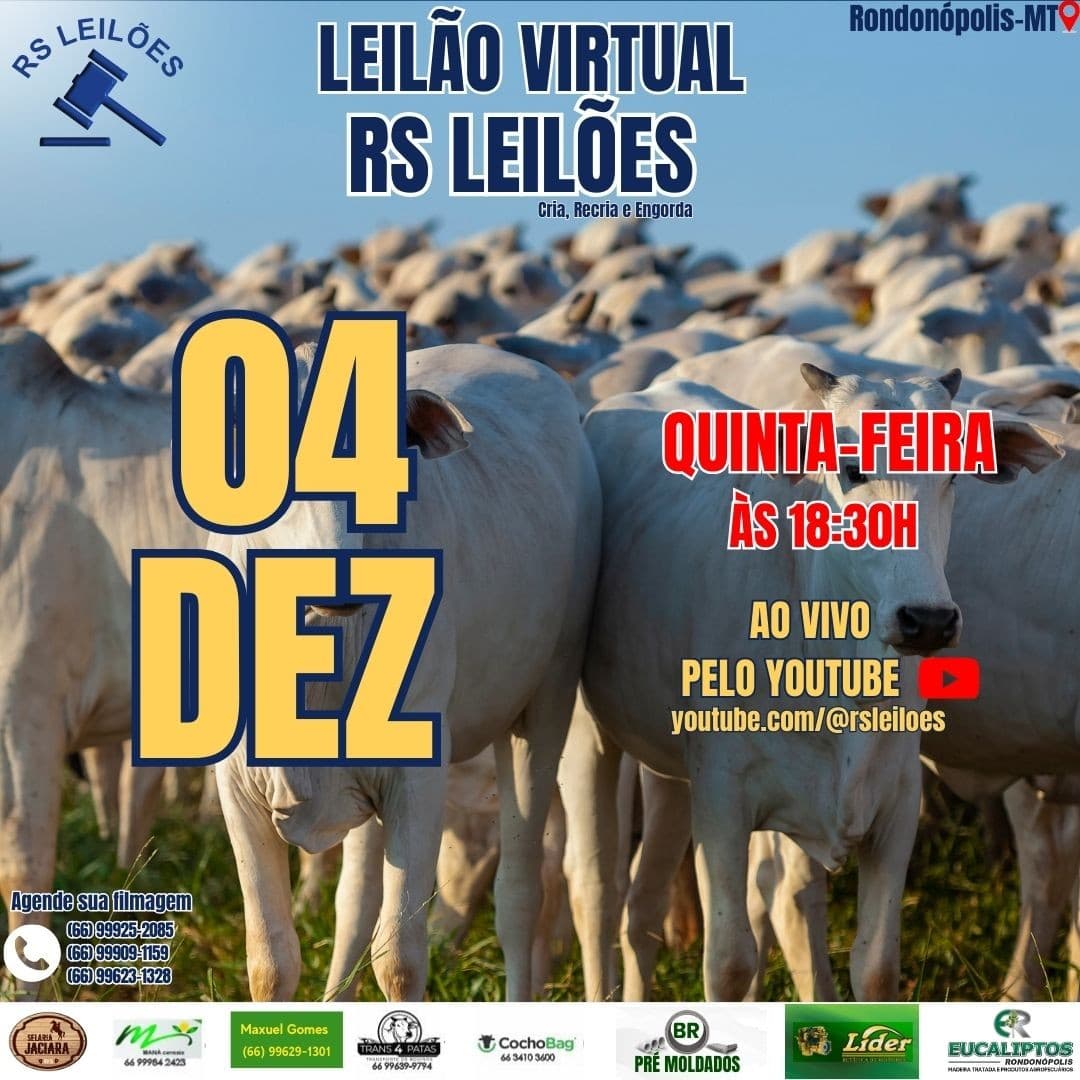 LEILÃO VIRTUAL RS LEILÕES - 04/12